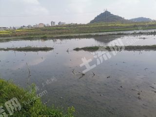 安顺西秀区300亩水田经营权出租