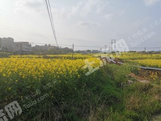 安顺西秀区200亩水田、旱地经营权出租