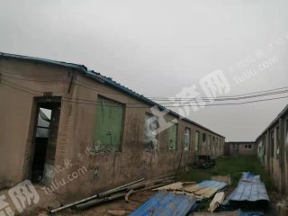 延津县25亩畜牧养殖用地及设施经营权出租XX1538