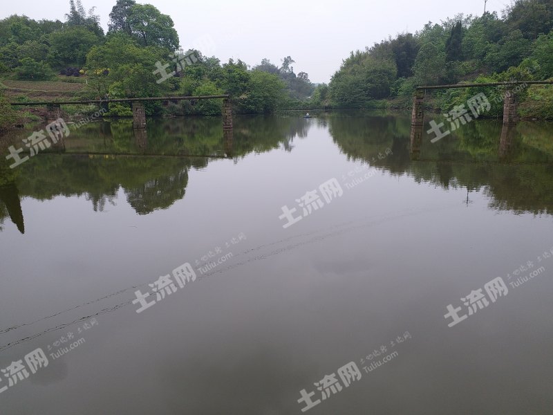重庆巴南区80亩水产养殖用地经营权出租