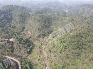 乐山市中区170亩灌木林地经营权出租