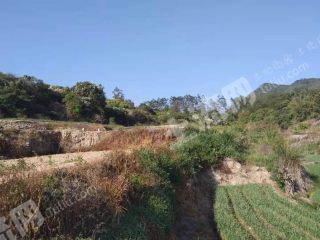 厦门  翔安区 220亩有林地 经营权出租