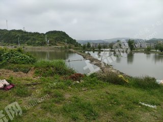 郴州桂阳县 300亩 坑塘水面 经营权出租