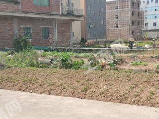 江門新會(huì)區(qū)99平米宅基地使用權(quán)出租