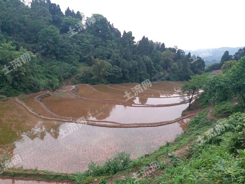 重庆巴南区30亩水产养殖用地经营权出租