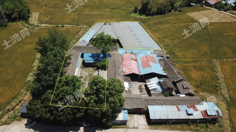 大邑5亩养猪场出租