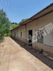 黄冈红安县20亩养鸡场 经营权转让