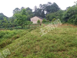 重慶巴南區(qū)160平米宅基地使用權出租