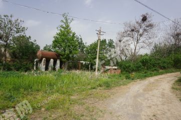 凤泉区40亩灌木林地经营权出租XX1559