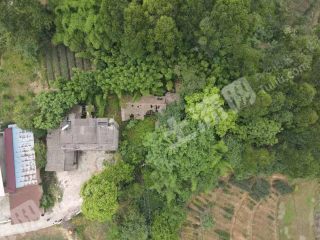 樂山市中區(qū)320平米宅基地使用權出租