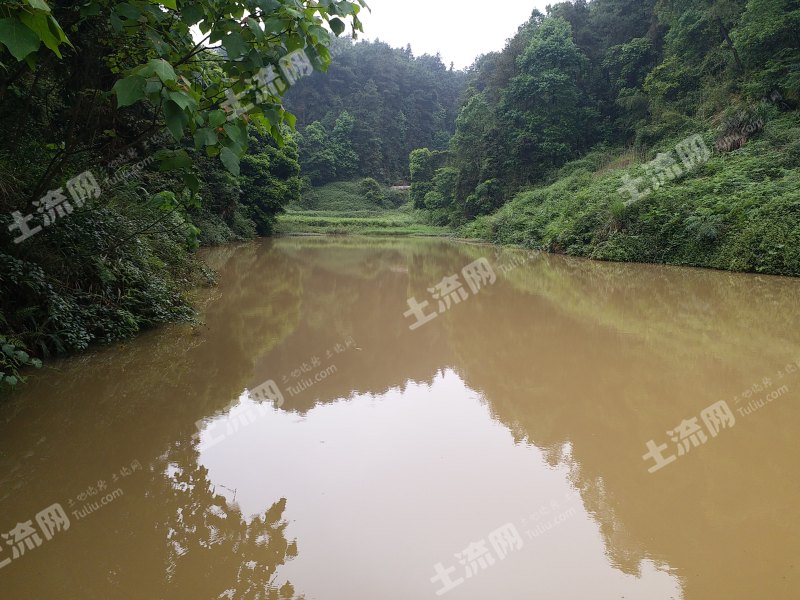 重庆巴南区3亩水产养殖用地经营权出租