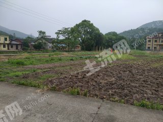 郴州桂阳县100亩水田经营权出租