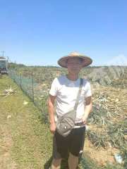 海南文昌市127亩旱地经营权出租