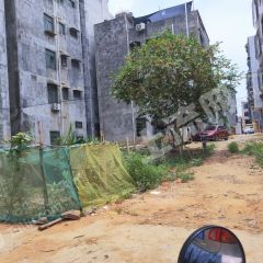 湛江雷州市85平米宅基地使用權(quán)出租