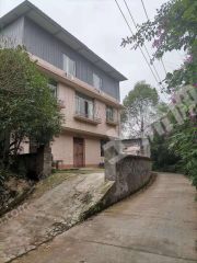 樂山市中區(qū)300平米宅基地使用權出租