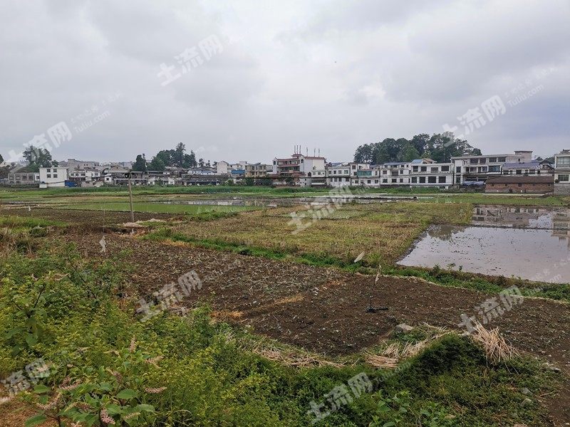 安顺西秀区100亩水田出租