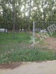 聊城莘县1500亩其它林地经营权出租