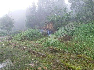 重慶巴南區(qū)110平米宅基地使用權出租