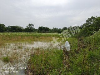 合肥庐江县15亩裸地出租