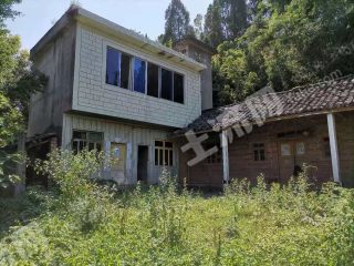 樂(lè)山井研縣240平米宅基地使用權(quán)流轉(zhuǎn)