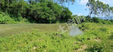 肇庆四会市 150亩 旱地 经营权出租