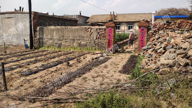 大连瓦房店市元台镇360平米宅基地转让