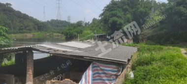 肇庆四会市 50亩 坑塘水面 经营权出租