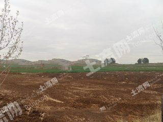 泰安宁阳县 15亩 人工牧草地 经营权出租