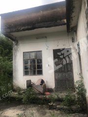 惠东县增光90平米农家庭院使用权长租