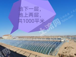 赤峰松山区222亩设施农用地经营权转让