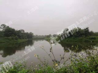 肇庆四会市 21.11亩 坑塘水面 经营权出租