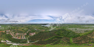 大连庄河市黑岛镇 210亩 果园 经营权转让