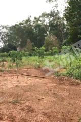 漳州龙海市5亩空闲用地转让