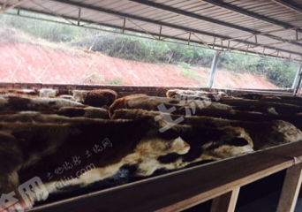 郴州桂阳县 3000亩 农场 使用权转让