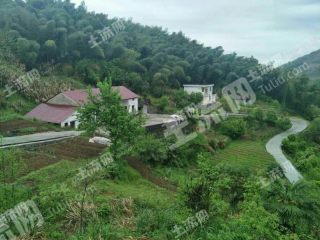 池州  东至县 4000平方米 农村宅基地 使用权出租