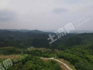 乐山  沐川县 500亩 其它林地 经营权出租