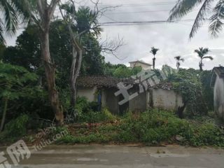 海南萬(wàn)寧市 666平米 宅基地使用權(quán)出租