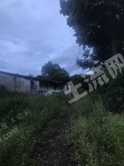 广东/惠州/惠东县白花80平米农房带院子出租