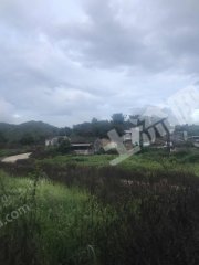 广东/惠州/惠东县白花80平米农家庭院出租