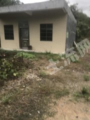 广东/惠州/惠东县多祝100平米农家庭院出租