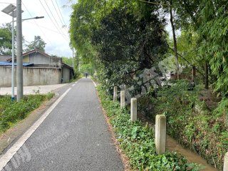 大邑清幽竹林宅基地使用权出租