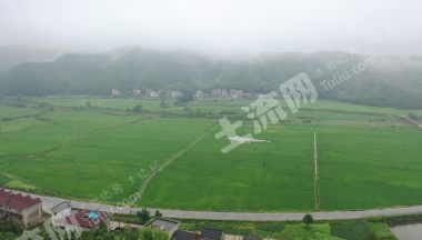 3000亩水田经营权出租