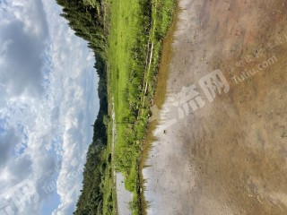 赣州龙南县506亩水田经营权转让