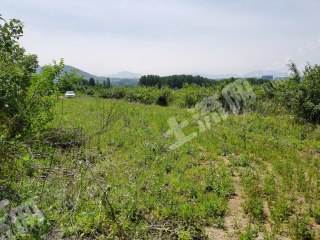 烟台芝罘区西珠岩3亩土地经营权出租