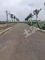 新乡长垣市200亩水浇地经营权出租XX1584