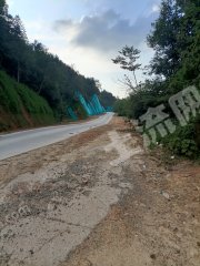 赣州宁都县2500亩有林地经营权转让