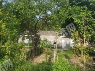 广东/惠州/惠城区120平米农房带6亩地租50年