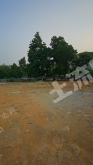 广州黄埔区35亩仓储用地使用权出租