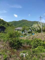 通化集安市100亩旱地经营权转让