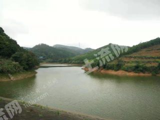 南昌720亩有林地经营权转让